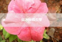 磁力蜘蛛引擎