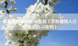 苹果手机怎么破wifi密码（怎样蹭别人已经加密的wifi密码）
