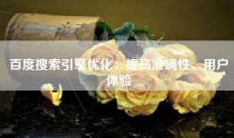 百度搜索引擎优化：提高准确性、用户体验