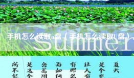 手机怎么读取u盘（手机怎么读取U盘）