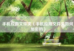 手机应用文件夹（手机应用文件夹如何加密码）