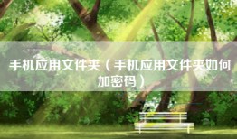 手机应用文件夹（手机应用文件夹如何加密码）