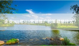 企业2021年SEO营销推广的策略是什么？