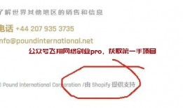 出海赚钱，单产品独立站利用google赚美金