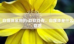 自媒体常用的4款软件有，自媒体是什么意思