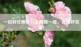 一招鲜吃遍天：手机碰一碰，支付秒完成！