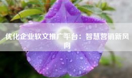 优化企业软文推广平台：智慧营销新风向