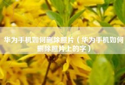 华为手机如何删除照片（华为手机如何删除照片上的字）