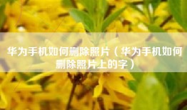华为手机如何删除照片（华为手机如何删除照片上的字）