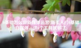0基础怎么做新媒体运营(新手入门0基础自媒体，这6个工具就够了)