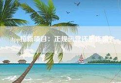 App拉新项目：正规运营还是诈骗？