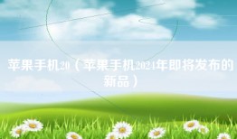 苹果手机20（苹果手机2024年即将发布的新品）