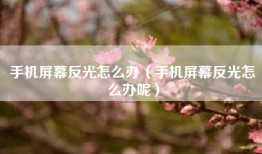 手机屏幕反光怎么办（手机屏幕反光怎么办呢）