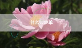 什么叫炒单