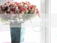 doogee手机（doogee手机 T20）