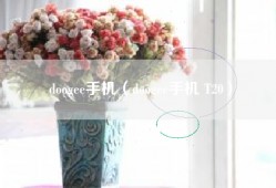 doogee手机（doogee手机 T20）