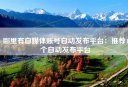 哪里有自媒体账号自动发布平台：推荐4个自动发布平台