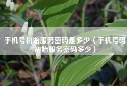 手机号初始服务密码是多少（手机号码初始服务密码多少）