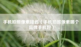 手机拍照像素排名（手机拍照像素哪个品牌手机好）