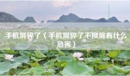 手机屏碎了（手机屏碎了不换屏有什么危害）