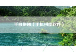 手机拼团（手机拼团软件）