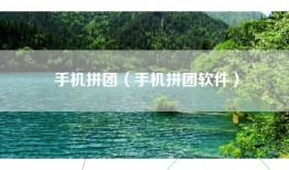 手机拼团（手机拼团软件）