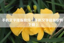 手机文字排版软件（手机文字排版软件下载）