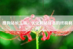 搜狗站长工具，优化网站排名的终极利器