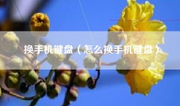 换手机键盘（怎么换手机键盘）