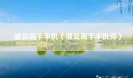 灌篮高手手机（灌篮高手手机壳）