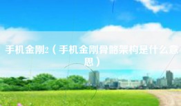 手机金刚2（手机金刚骨骼架构是什么意思）
