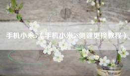手机小米5（手机小米5S侧键更换教程）