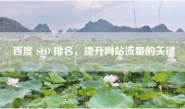 百度 SEO 排名，提升网站流量的关键