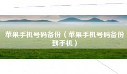 苹果手机号码备份（苹果手机号码备份到手机）