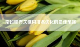南投哪有关键词排名优化的最佳策略