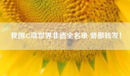 我国42项世界非遗全名录 骄傲转发！