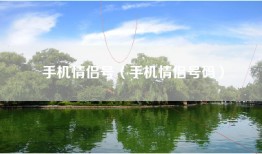 手机情侣号（手机情侣号码）