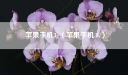 苹果手机3g（苹果手机3G）