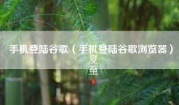 手机登陆谷歌(手机登陆谷歌浏览器)
