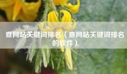查网站关键词排名（查网站关键词排名的软件）