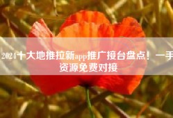 2024十大地推拉新app推广接台盘点！一手资源免费对接