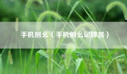 手机刨幺（手机刨幺记牌器）