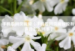 手机看网页视频（手机看网页视频没有声音怎么回事）