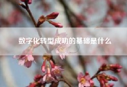 数字化转型成功的基础是什么