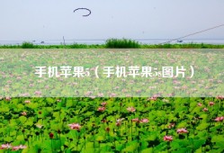 手机苹果5（手机苹果5s图片）