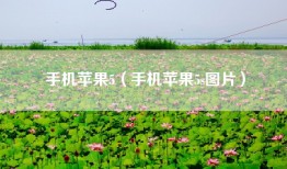 手机苹果5（手机苹果5s图片）