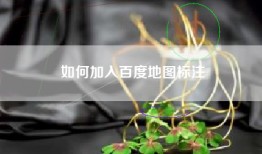 如何加入百度地图标注