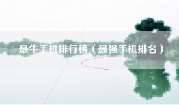 最牛手机排行榜（最强手机排名）