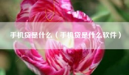 手机贷是什么（手机贷是什么软件）