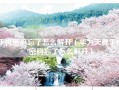 手机密码忘了怎么解开（华为天翼手机密码忘了怎么解开）